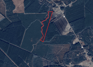 NC Timber/Hunting Land for Sale